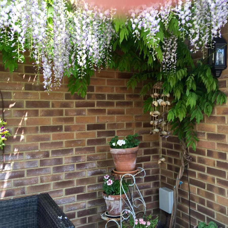 Bub Lane Cottage Christchurch  Luaran gambar